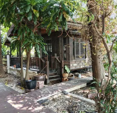 Charming rustic wooden house surrounded by lush greenery, perfect for nature lovers seeking tranquility.