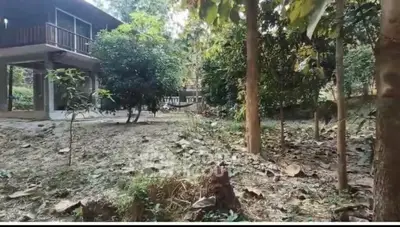 Charming rustic property with lush garden and elevated wooden structure, perfect for nature lovers.