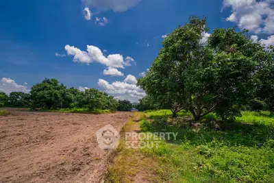 image_rental-36018762