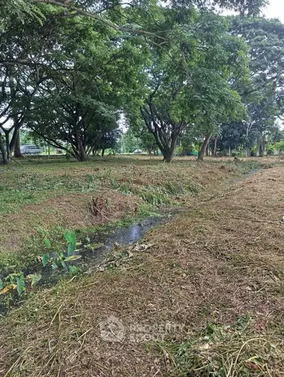 Expansive green land with lush trees, perfect for development or agriculture.
