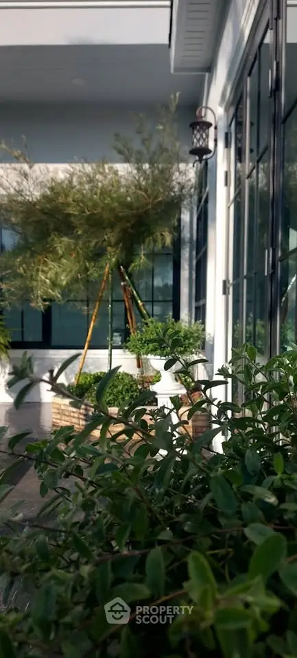 image_rental-27751877