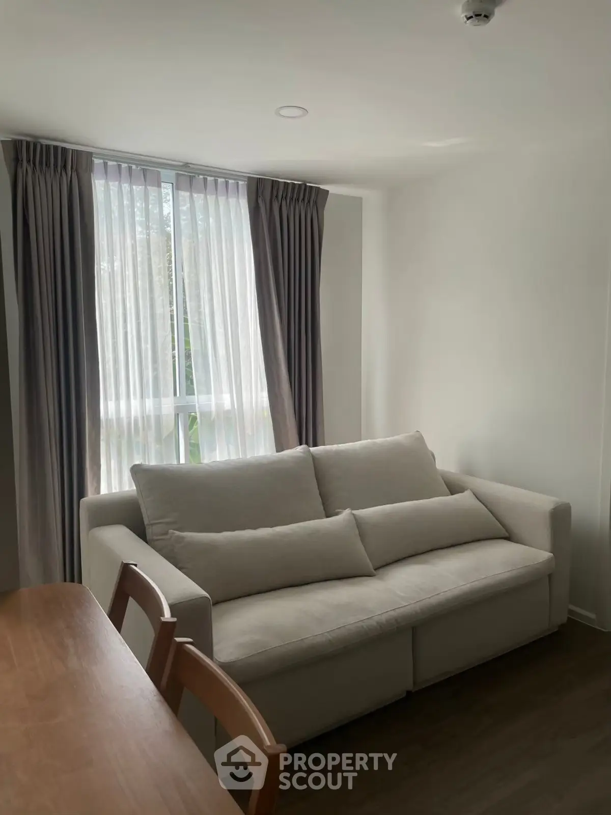 Cozy living room with natural light and modern sofa