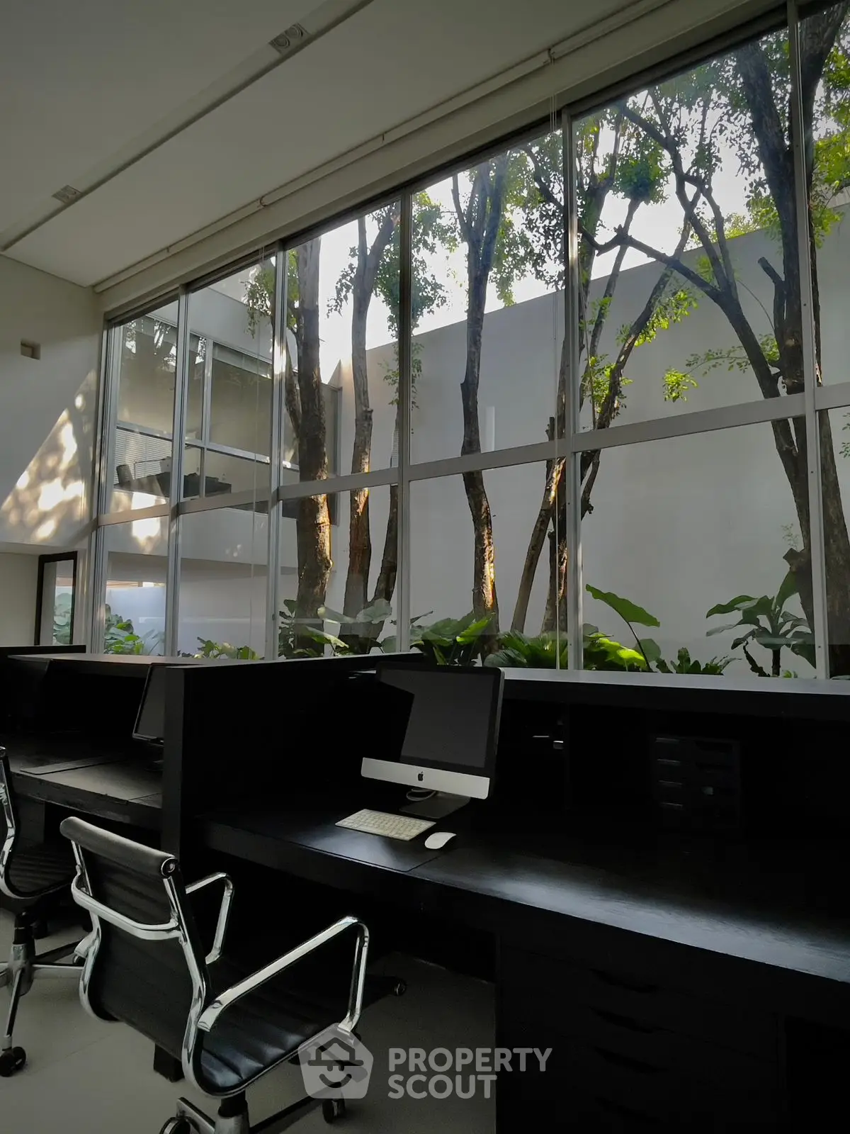 Modern study area with large windows and sleek office chairs, offering a serene view of lush greenery.