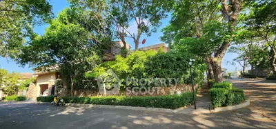 image_rental-27483917