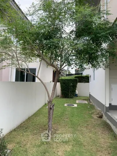 Charming garden space between modern homes with lush greenery and privacy hedges.