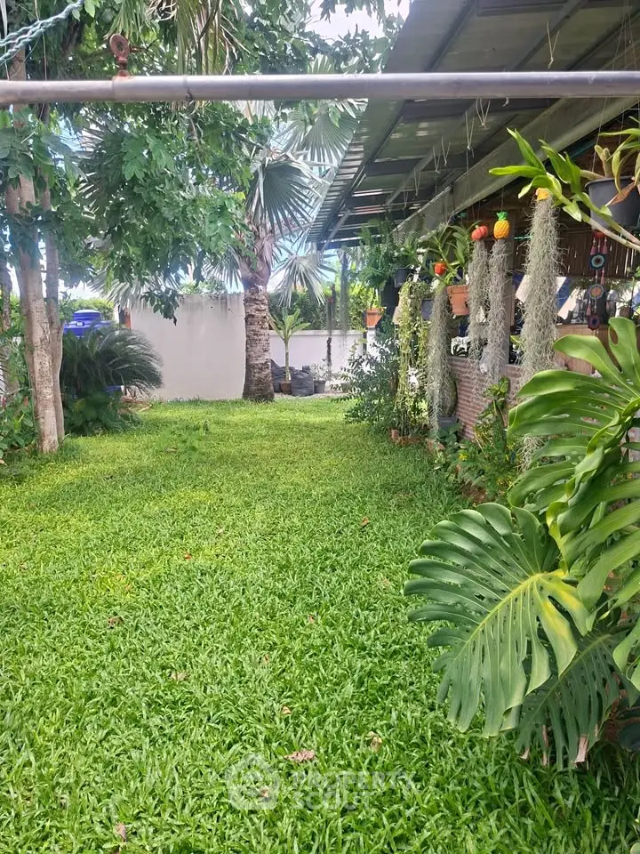 Lush green garden with tropical plants and shaded patio area, perfect for relaxation and outdoor gatherings.