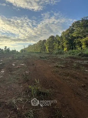 Expansive land plot with lush greenery and clear skies, perfect for development opportunities.