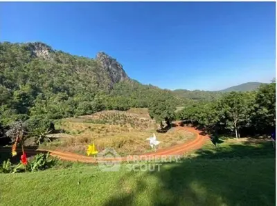 Scenic landscape view with lush greenery and winding dirt road