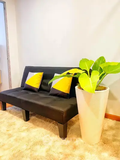 Cozy living room with stylish black sofa, vibrant cushions, and lush potted plant on plush carpet.