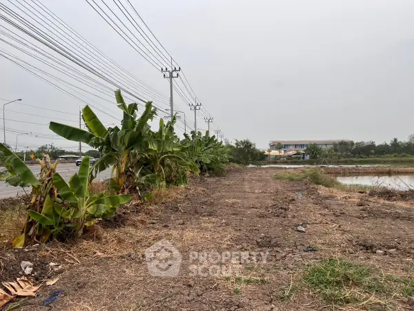image_rental-26639880
