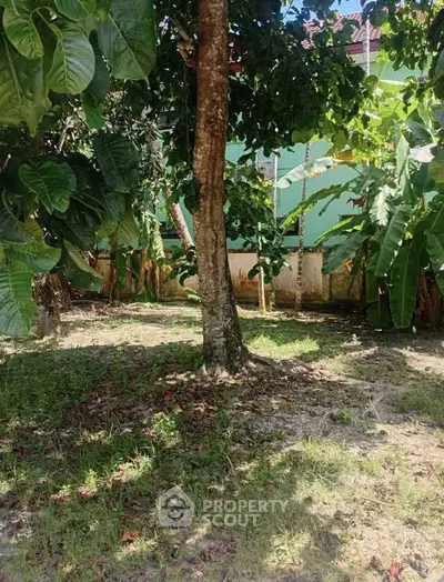 Lush garden with mature trees and vibrant greenery, perfect for relaxation and outdoor activities.