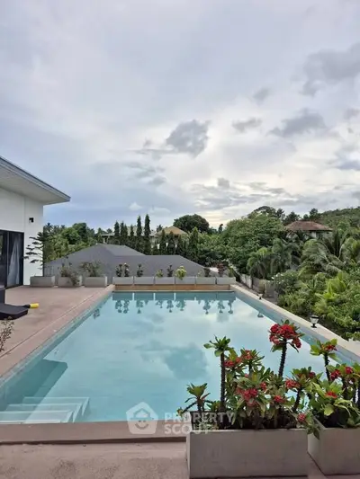 image_rental-28082034