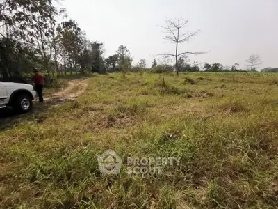 Expansive land plot with lush greenery and potential for development