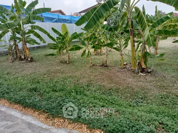 image_rental-30133090