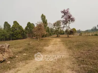 Expansive land plot with trees and clear pathway, ideal for development or agriculture.