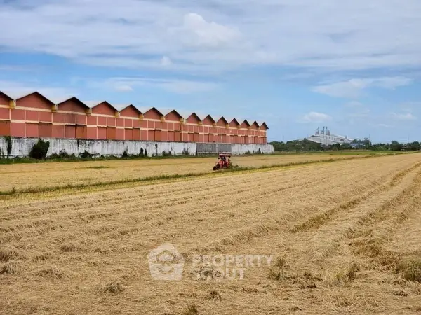 image_rental-25291923