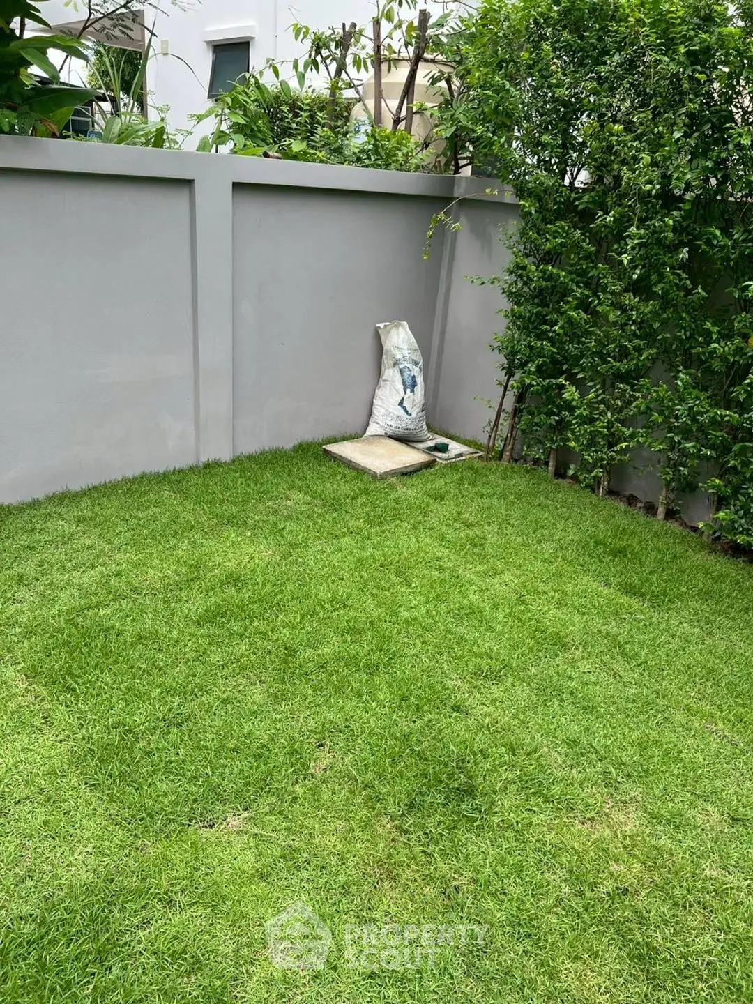 Lush green garden with privacy wall and vibrant foliage, perfect for outdoor relaxation.