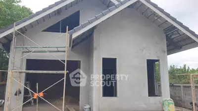 Charming unfinished house with pitched roof and scaffolding, perfect for customization.