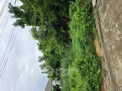 Lush green vacant land plot ideal for development in serene neighborhood.