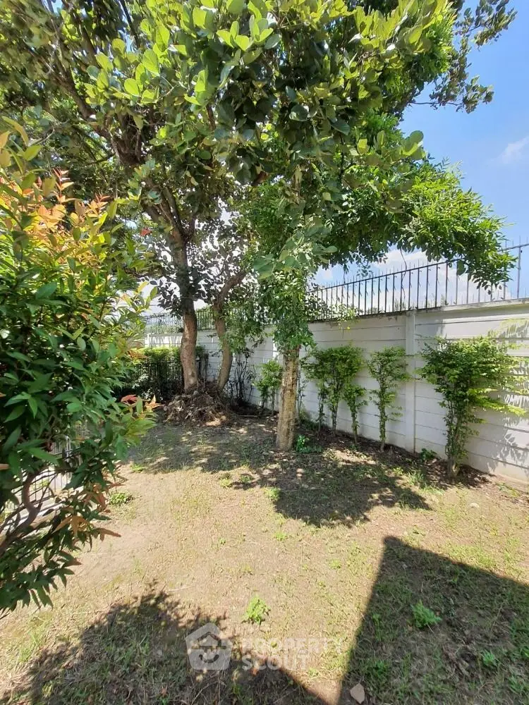 Charming garden space with lush greenery and privacy fence, perfect for relaxation.