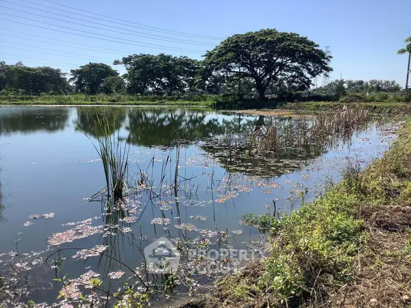 image_rental-8643671