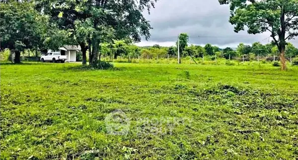 image_rental-27677760