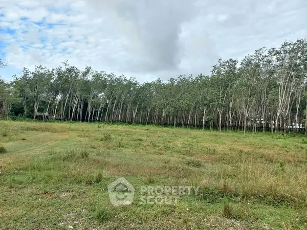 image_rental-30964467