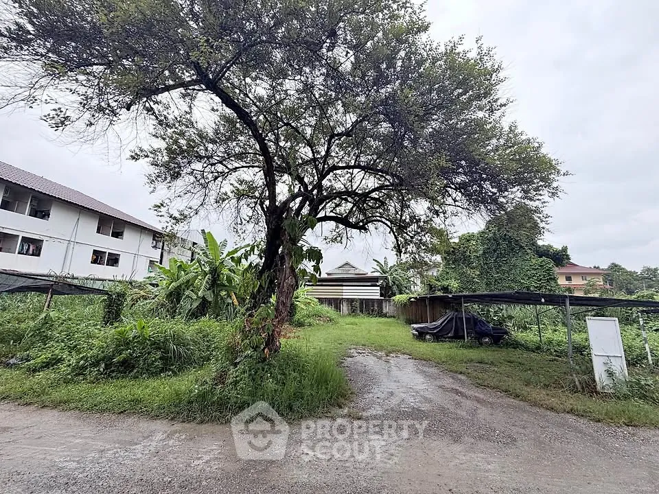 Spacious plot with lush greenery and mature trees, ideal for development or landscaping projects.
