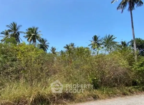 image_rental-29524132