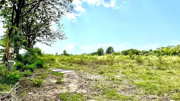 image_rental-13630773