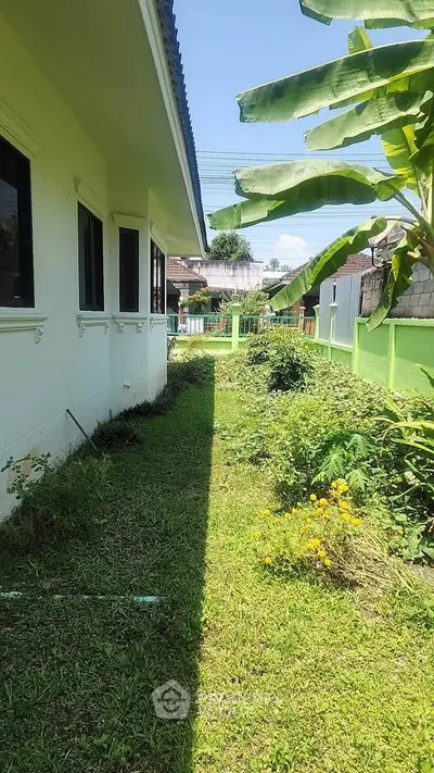 Charming garden view beside a modern house with lush greenery and vibrant flowers, perfect for nature lovers.