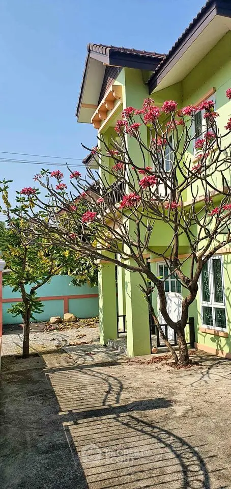 image_rental-11669828