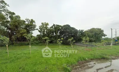 Expansive green land with lush trees, perfect for development opportunities.