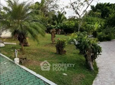 Lush garden area with tropical plants and paved pathway in serene setting.