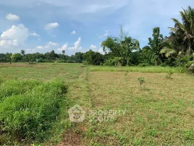 Expansive green land with lush vegetation, perfect for development or agriculture.