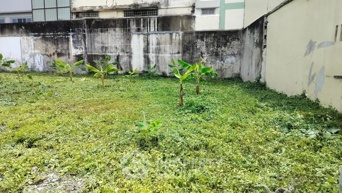Vacant urban lot with potential for development, featuring young banana plants and lush greenery.