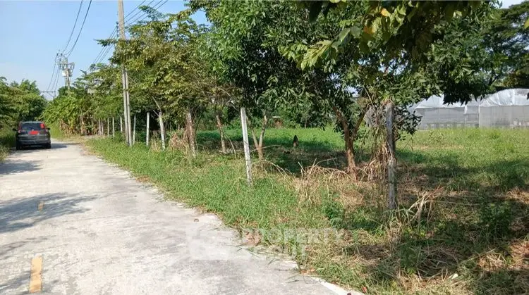Spacious green land with trees and paved road access, ideal for development.