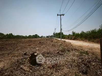 image_rental-31356178