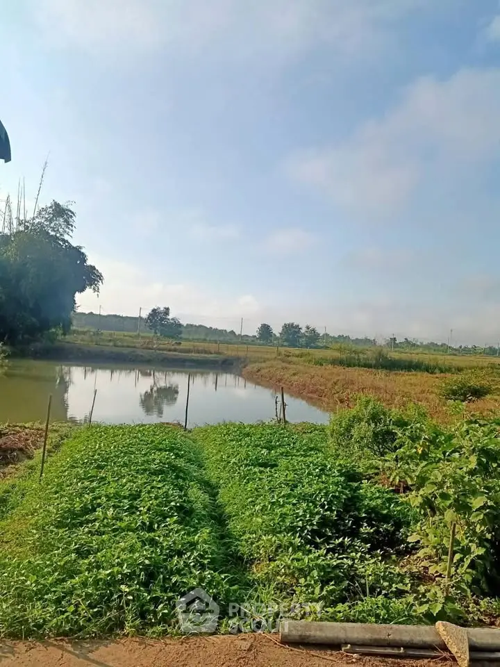 Scenic rural landscape with lush greenery and serene pond under a clear blue sky.
