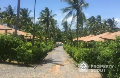 Tropical resort entrance with lush greenery and palm trees lining the pathway.