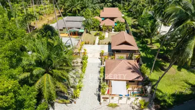 Aerial view of tropical villas surrounded by lush greenery and palm trees, showcasing serene and private living.