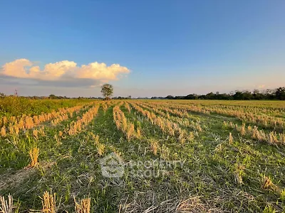 image_rental-11958798
