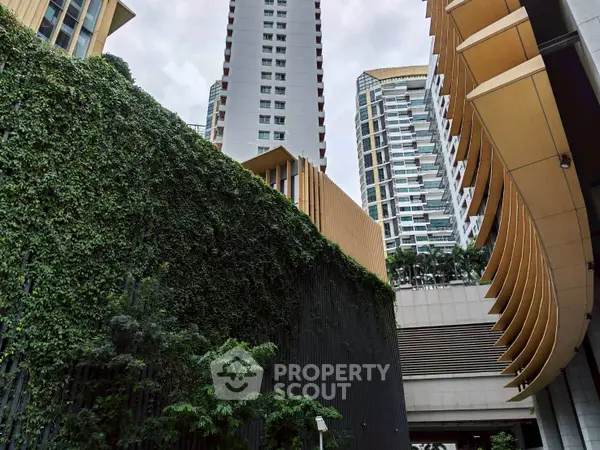 image_rental-26514969