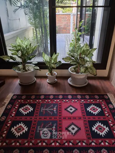 Charming interior with vibrant rug and lush potted plants by a window.