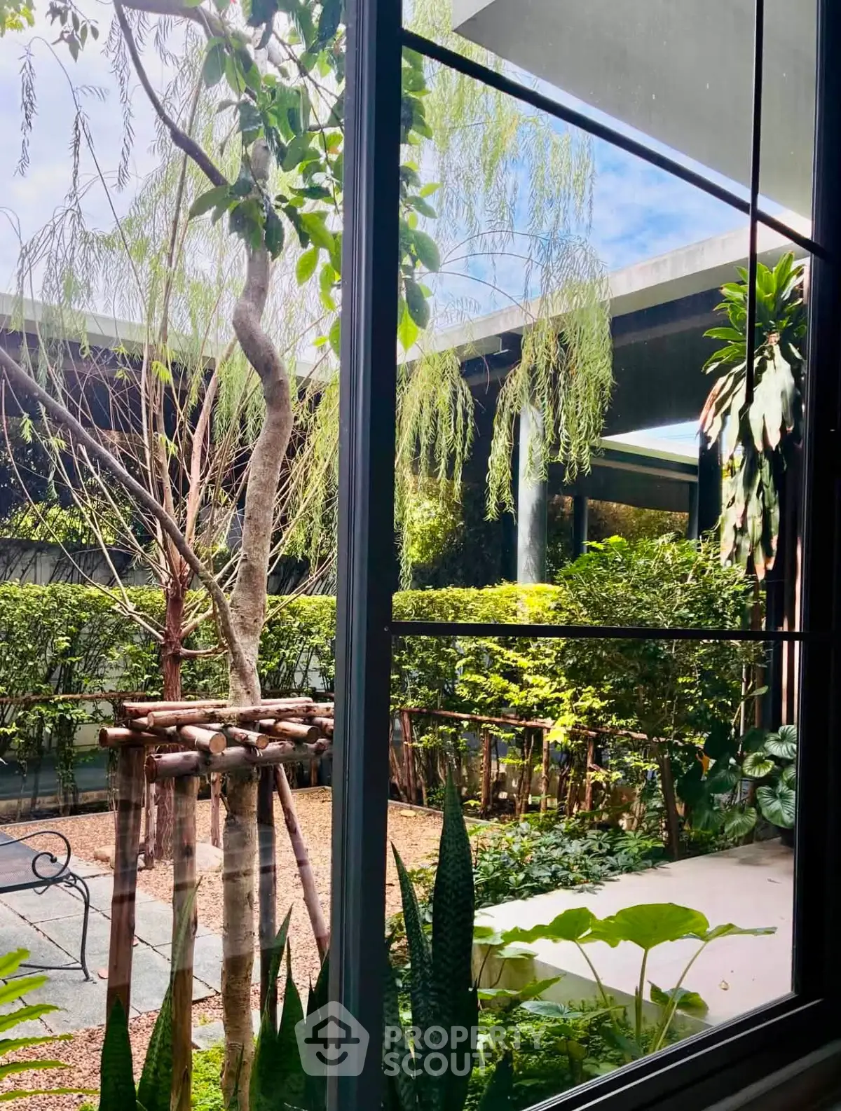 Lush garden view from a modern building window, showcasing vibrant greenery and serene outdoor ambiance.