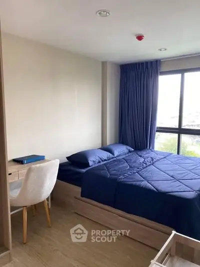 Modern bedroom with blue bedding and natural light from large window