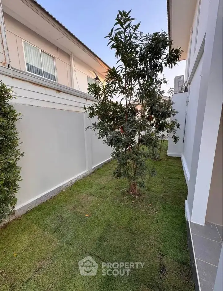 Charming garden space in modern residential area with lush greenery and privacy walls.
