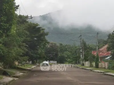 Scenic residential street with lush greenery and mountain view