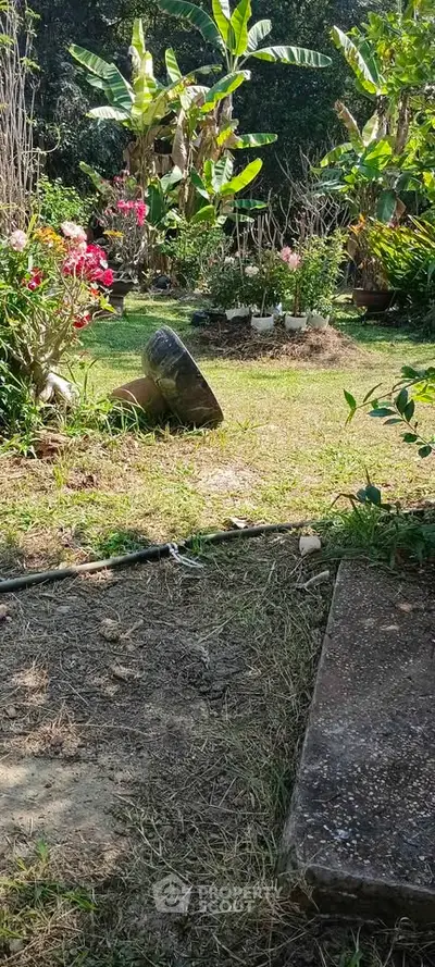 Lush garden with vibrant flowers and tropical plants, perfect for outdoor relaxation.