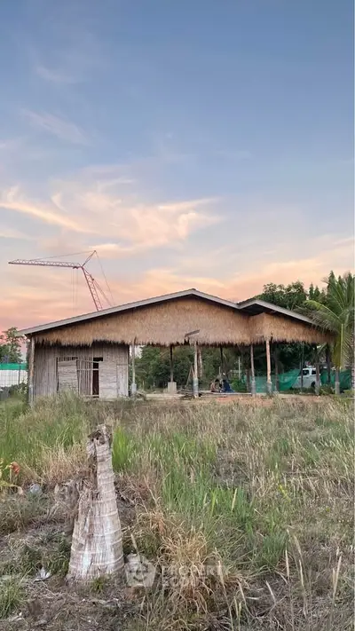 Rustic countryside house with thatched roof and open surroundings at sunset.
